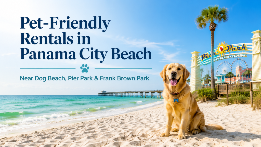 Home Dog sitting on the beach near Pier Park in Panama City Beach Florida for pet friendly vacation rentals