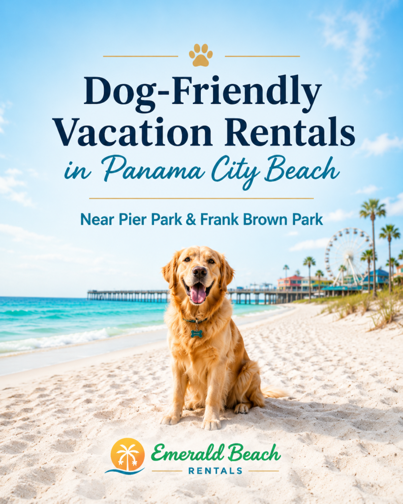 Golden retriever on a Panama City Beach beach promoting pet-friendly stays near Pier Park and Frank Brown Park